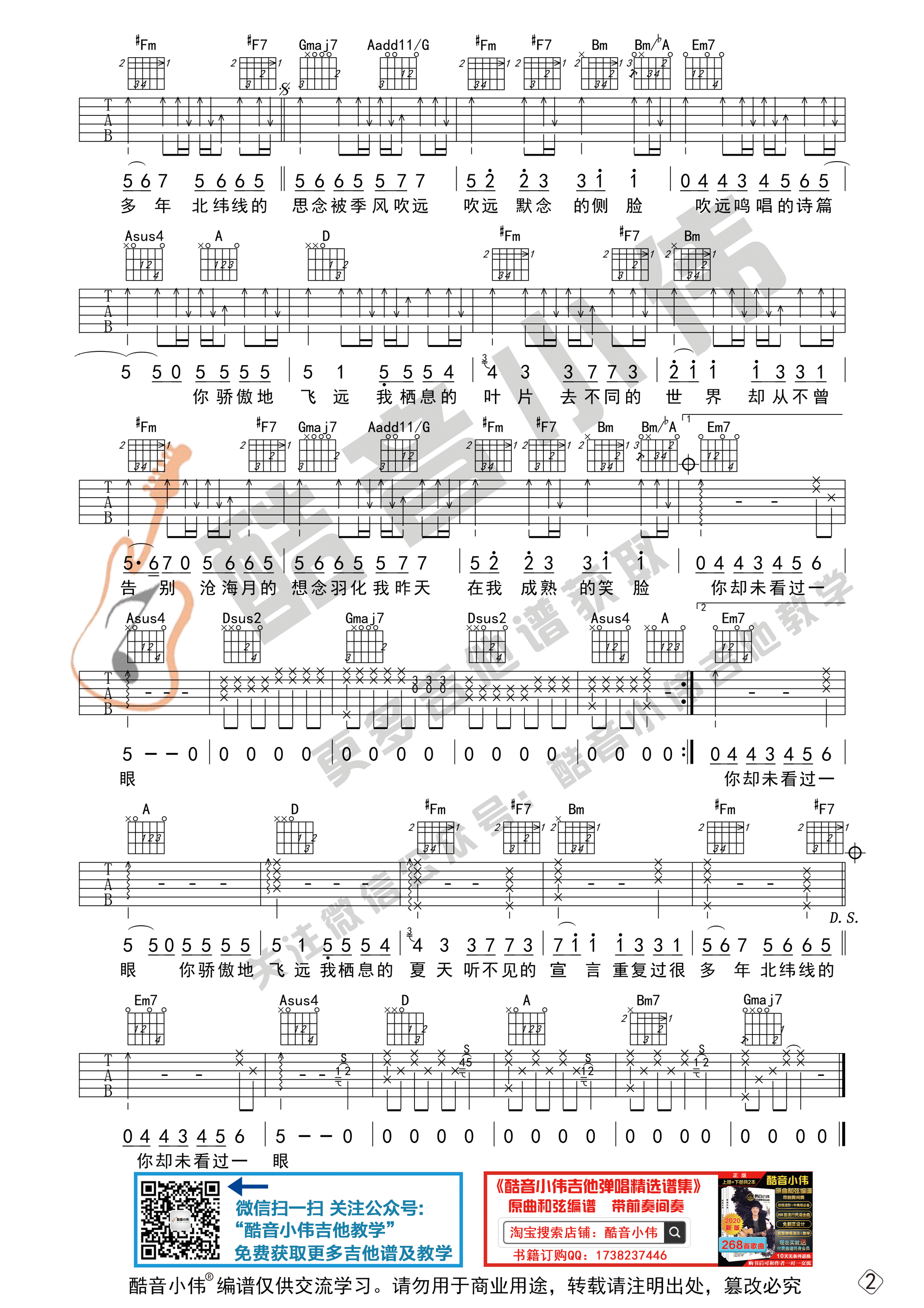 吉他园地飞鸟和蝉吉他谱(酷音小伟)-2