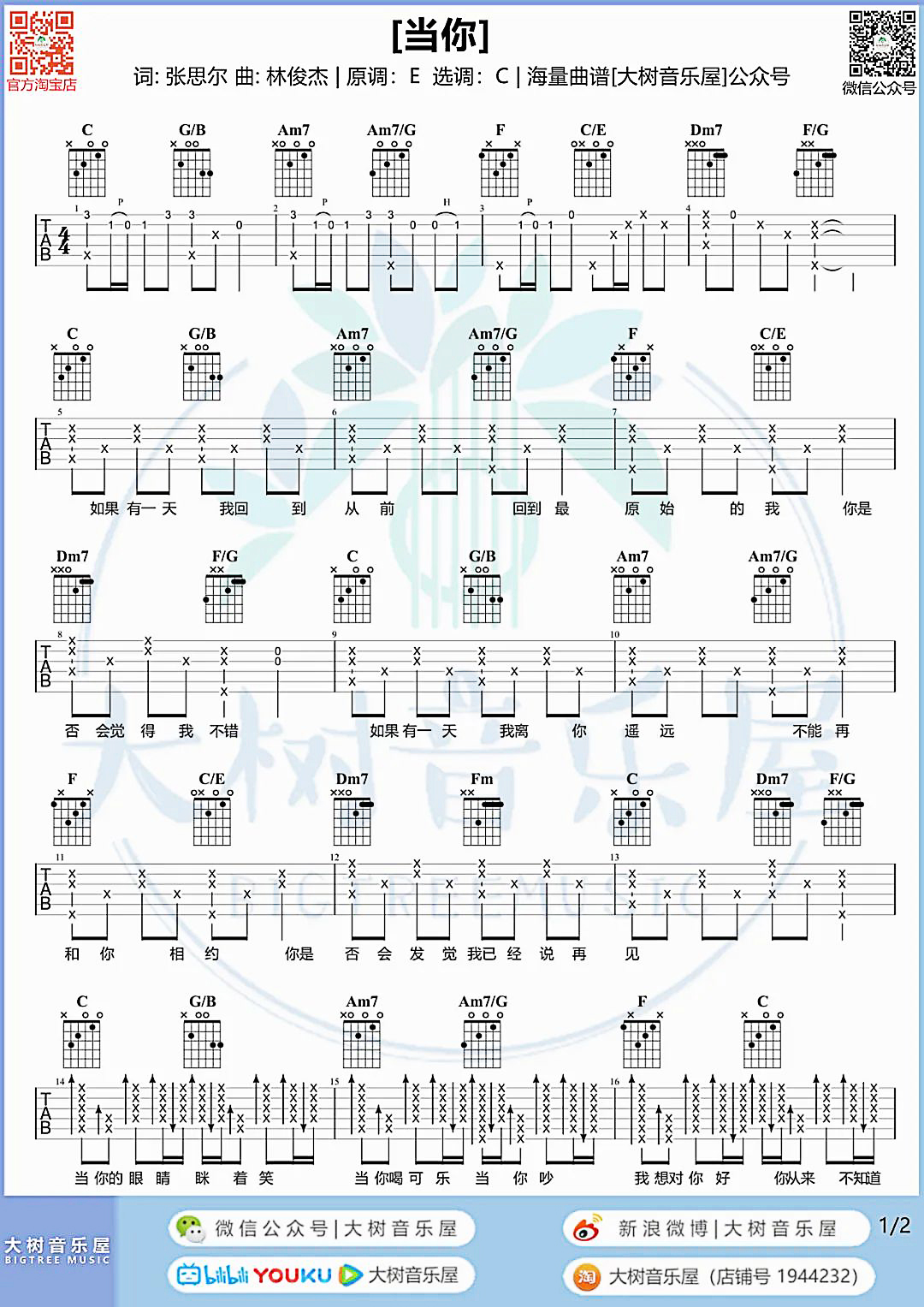 吉他园地当你吉他谱(大树音乐屋)-1