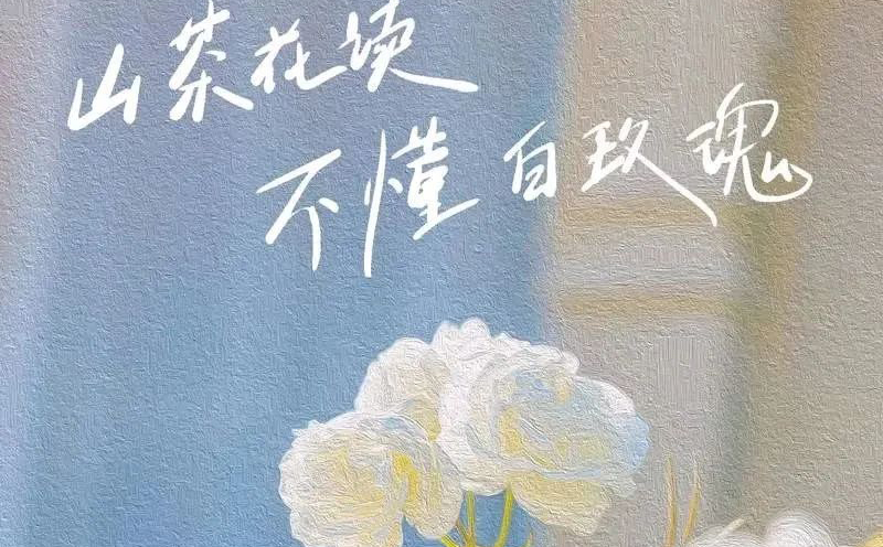 山茶花读不懂白玫瑰吉他视频-封面