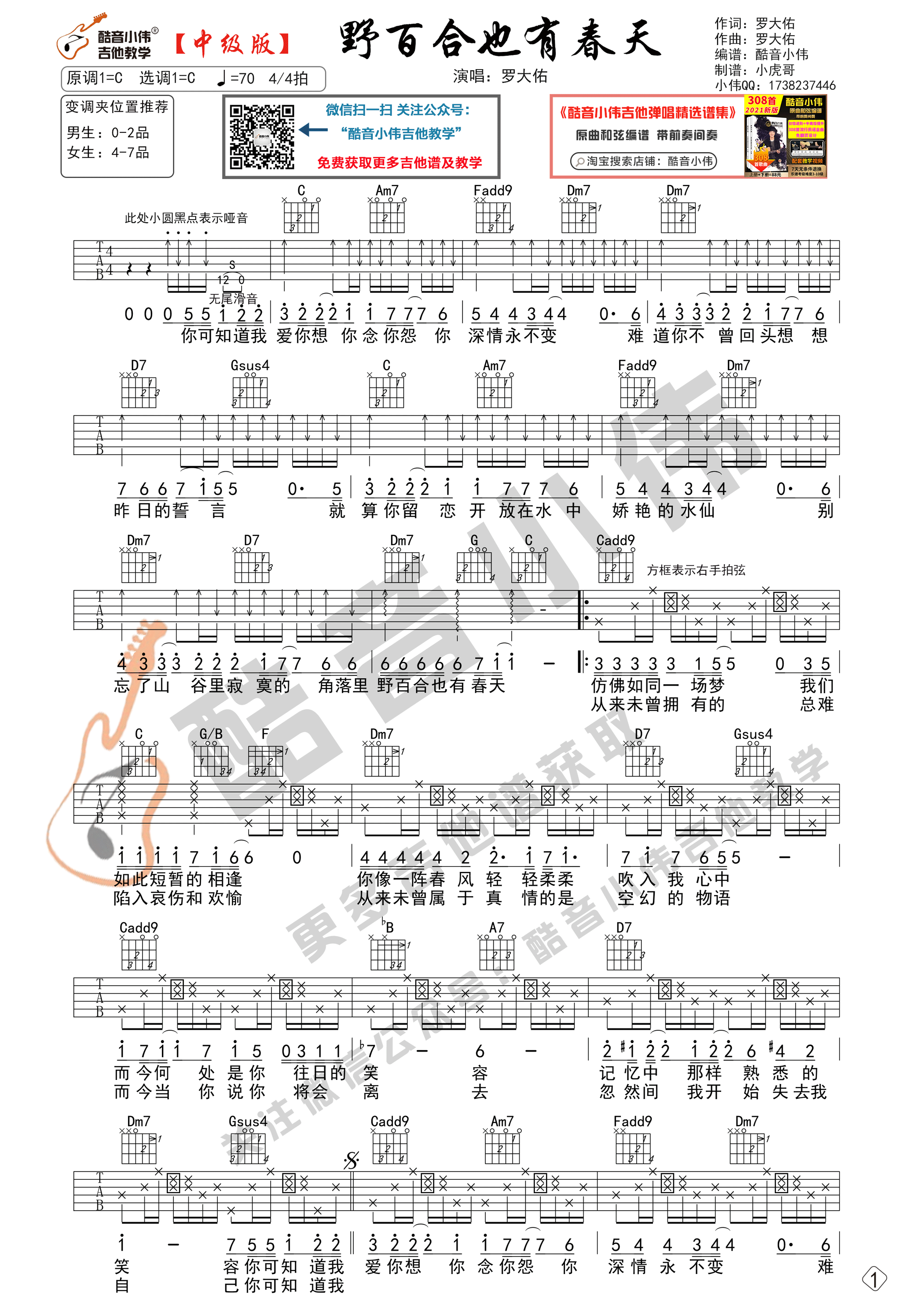 吉他园地野百合也有春天吉他谱(酷音小伟)-1