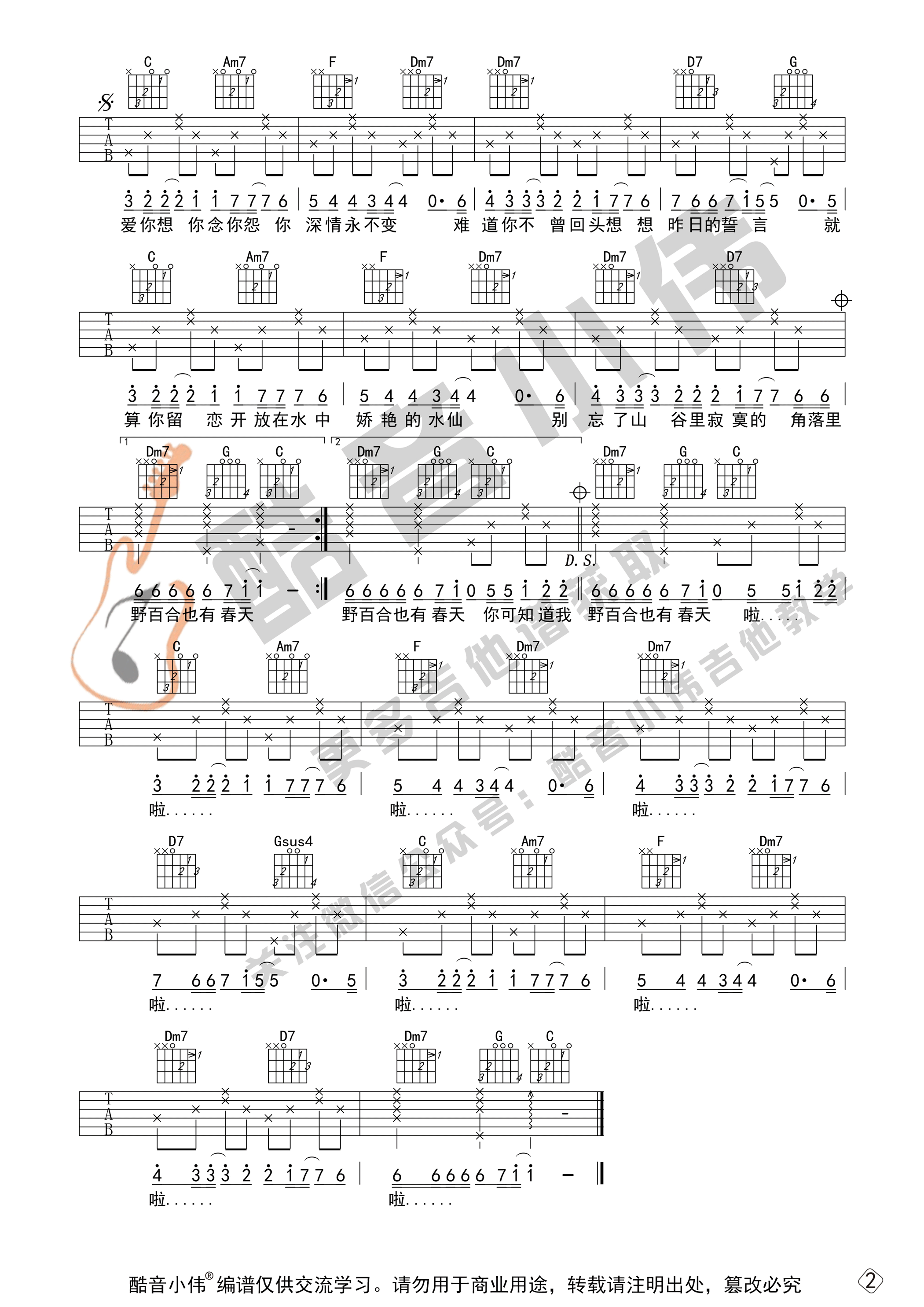 吉他园地野百合也有春天吉他谱(酷音小伟)-4